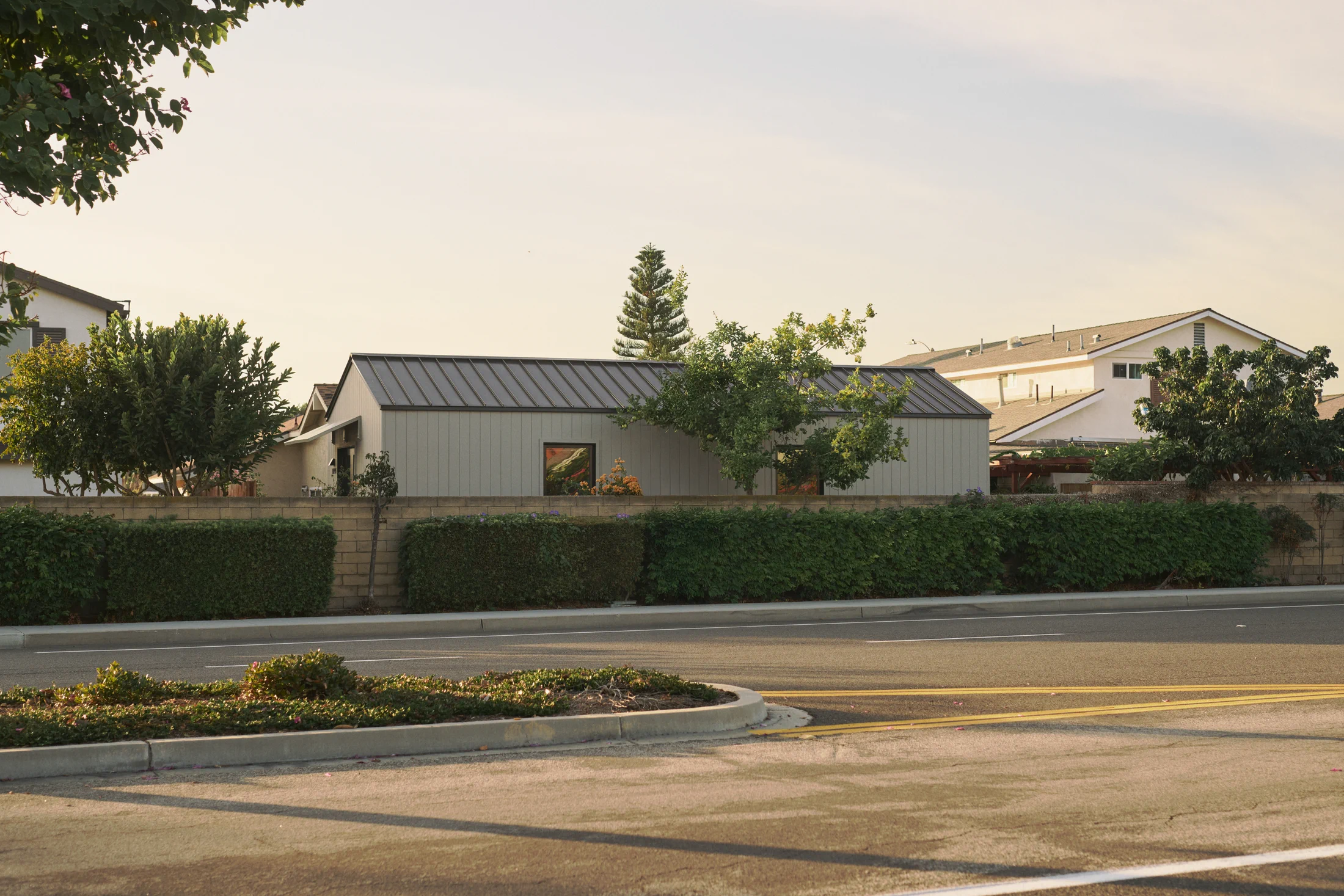 Elaine’s one bedroom Backyard, seen from the street behind her home.”
			loading=